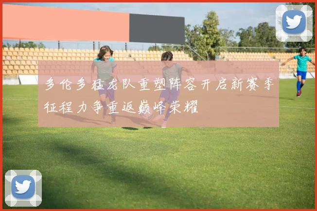 多伦多猛龙队重塑阵容开启新赛季征程力争重返巅峰荣耀
