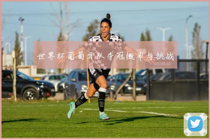 世界杯葡萄牙队夺冠概率与挑战