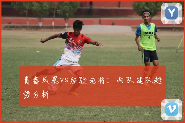 青春风暴vs经验老将：两队建队趋势分析