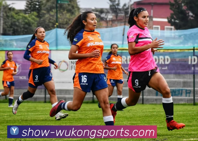 悟空平台生态图